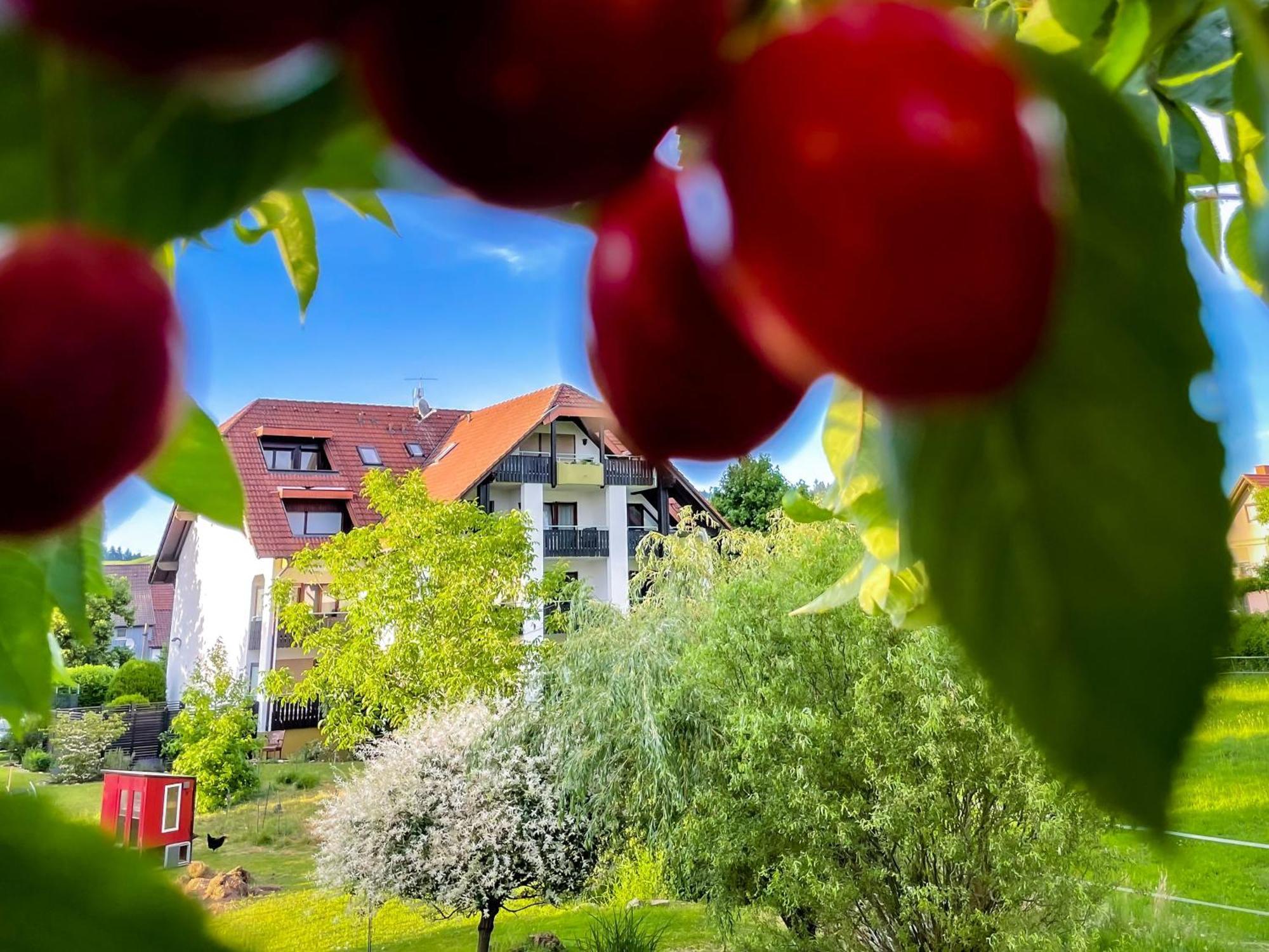 Gasthaus Hirschenstube & Gaestehaus Gehri Waldkirch Εξωτερικό φωτογραφία